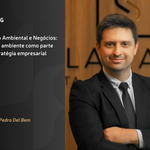 BLOG – capa artigos (10)